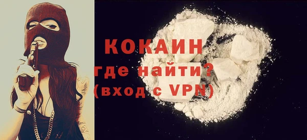стаф Алзамай