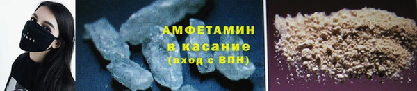 стаф Алзамай