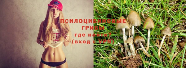 jwh Алексеевка