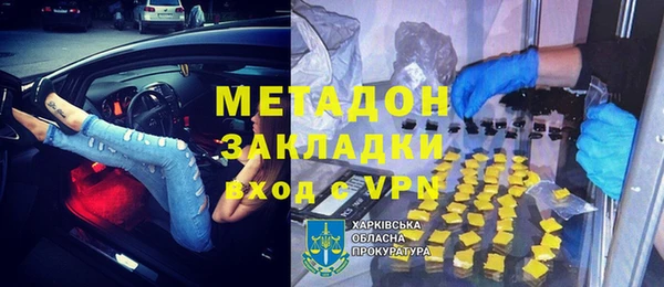 стаф Алзамай