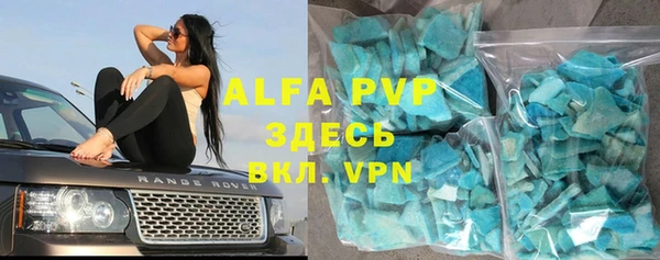 стаф Алзамай